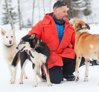 musher avec ses chiens dans la neige