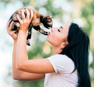 Chat tenu par sa maîtresse