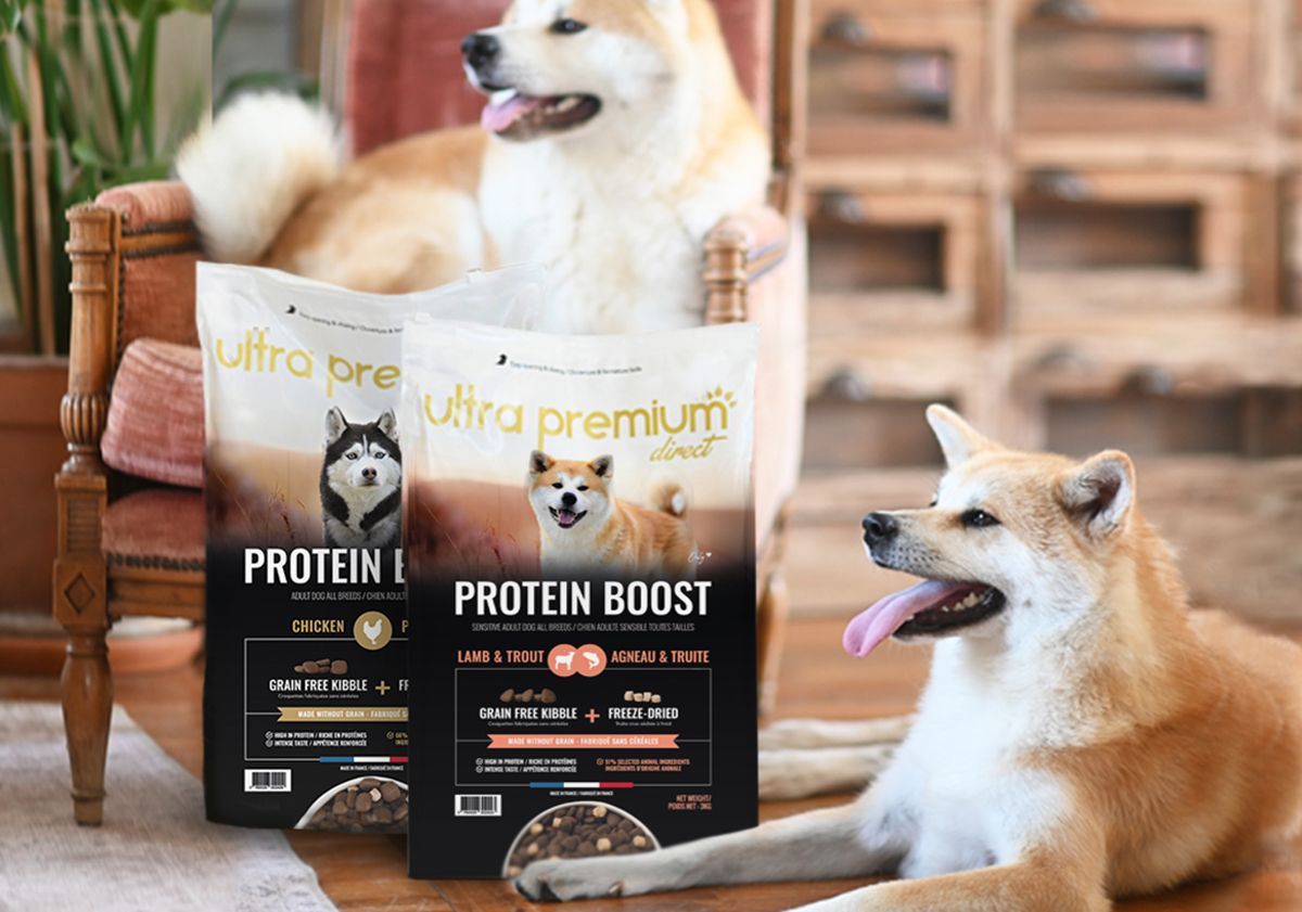 2 chiens à proximité des croquettes protein boost d'Ultra Premium Direct