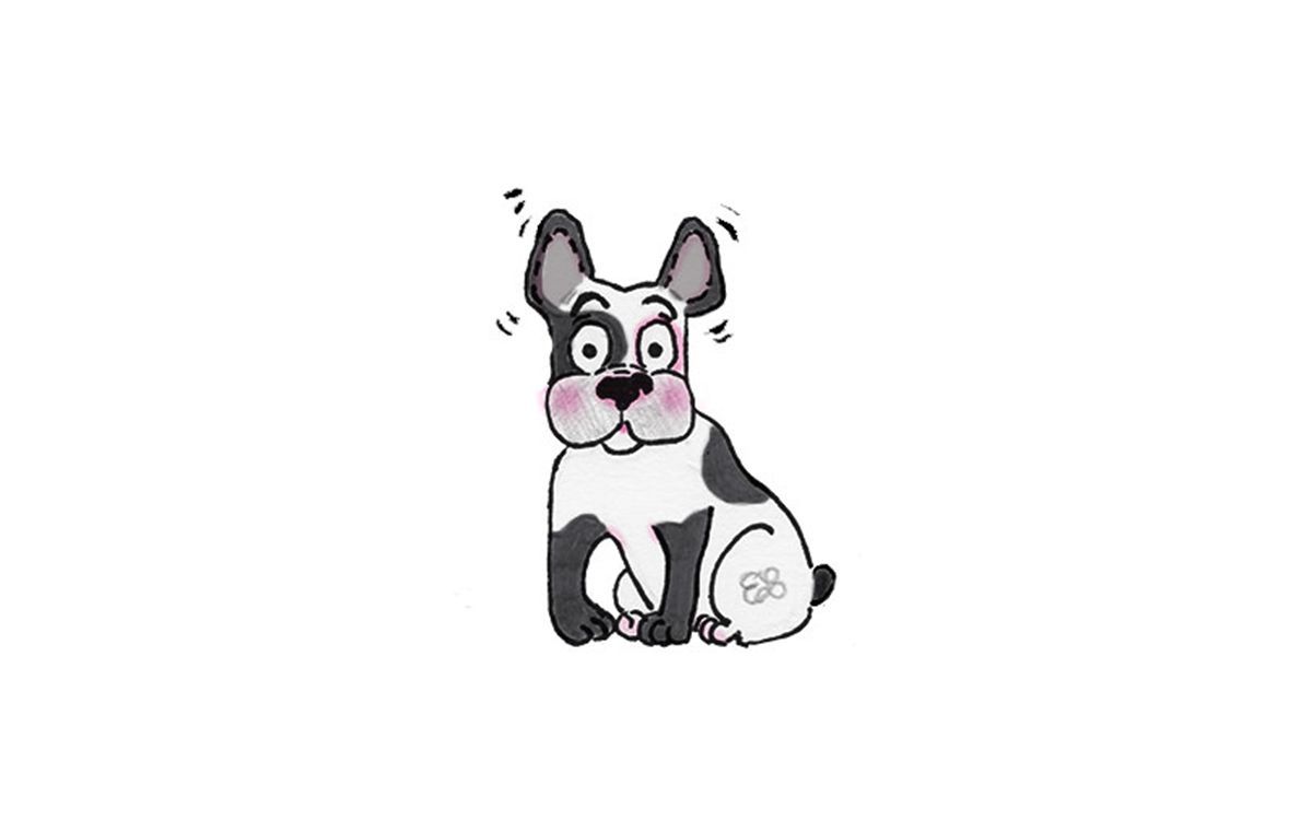 disegno di un cane