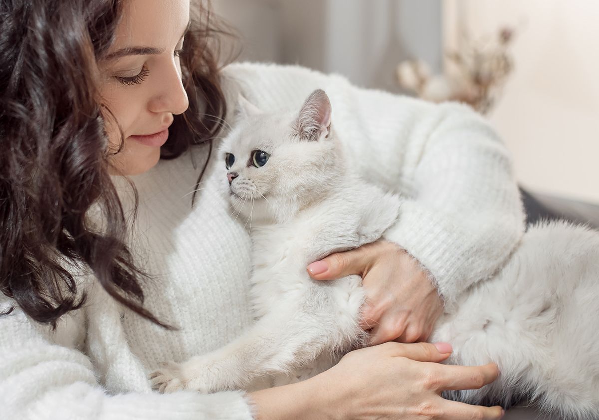 Chat dans les bras de sa maîtresse