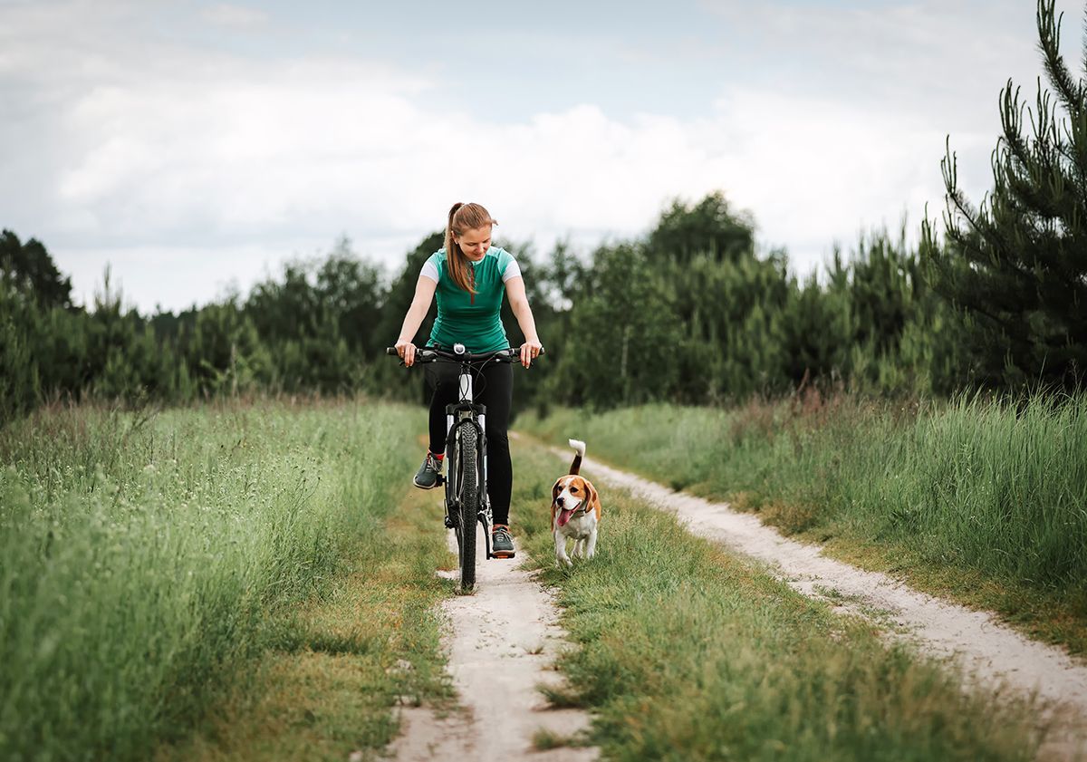 Chien sportif avec sa maîtresse en VTT