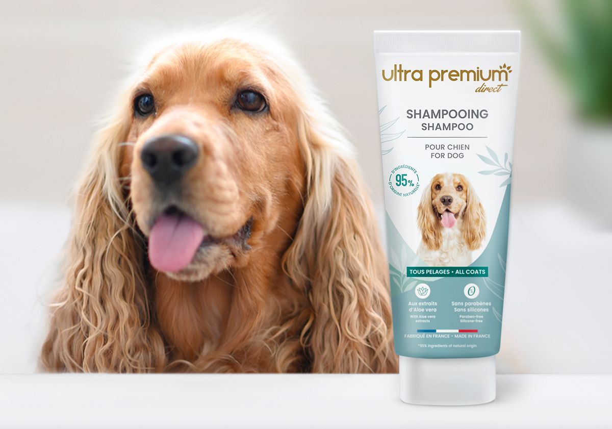 Shampooing pour chien