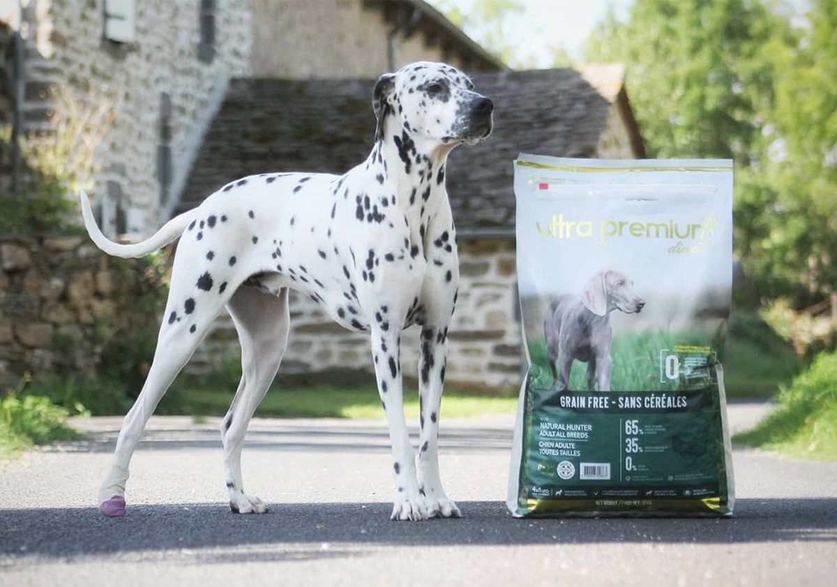 Dalmata in piedi accanto a un sacchetto di crocchette Ultra Premium Direct