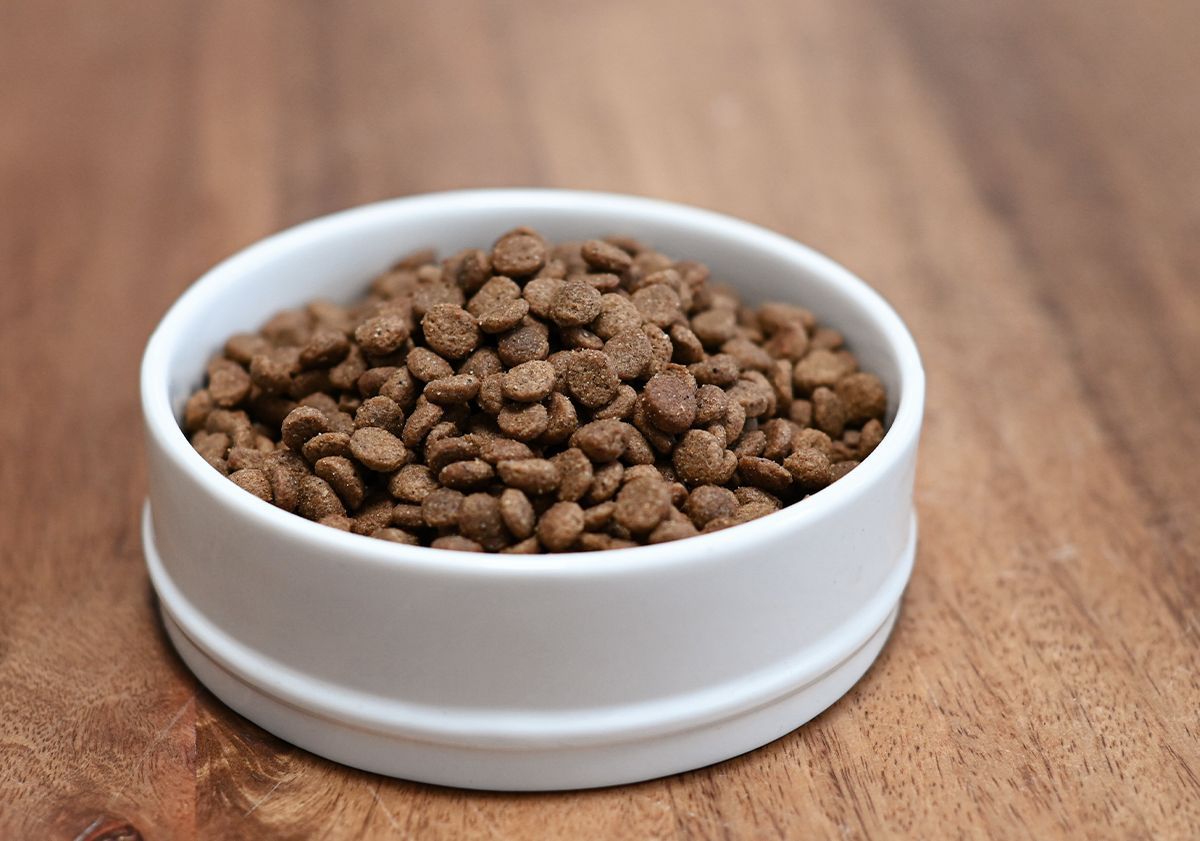 Quelles Croquettes Pour Chat D couvrez Nos Conseilss Blog Ultra 
