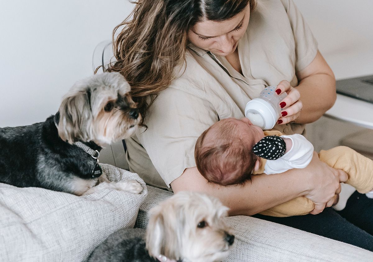 Mère donnant le biberon à son bébé avec ses 2 chiens à ses côtés