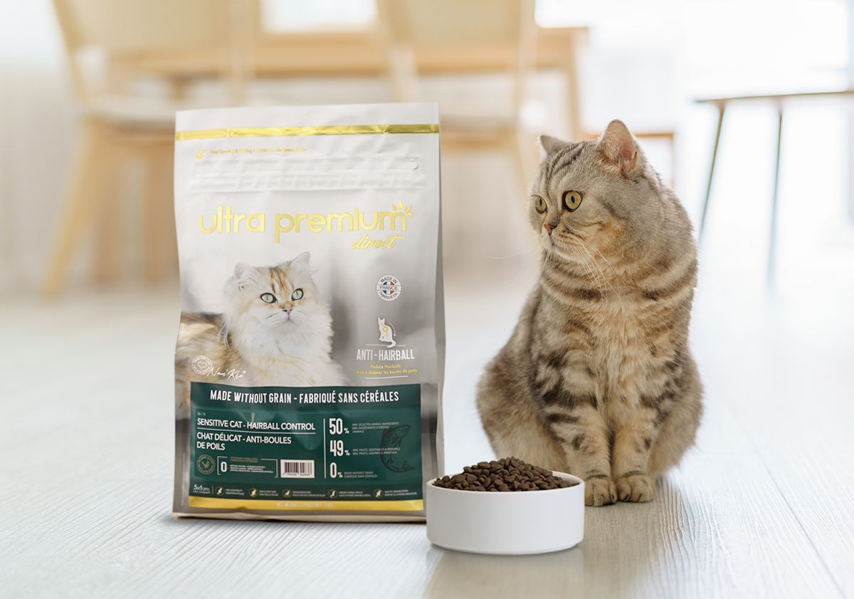 Mon chat peut-il en manger ? La FAQ des aliments pour chat.