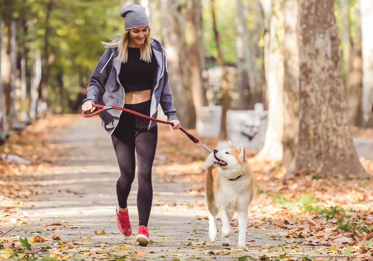 Activité sportive en laisse avec son chien