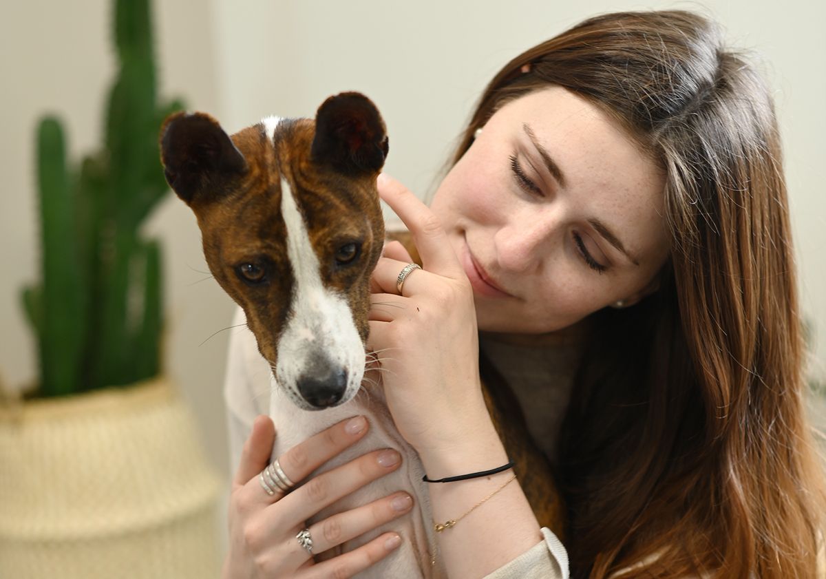 Basenji avec sa maîtresse