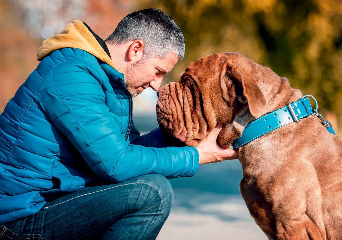 Mastino con il suo padrone