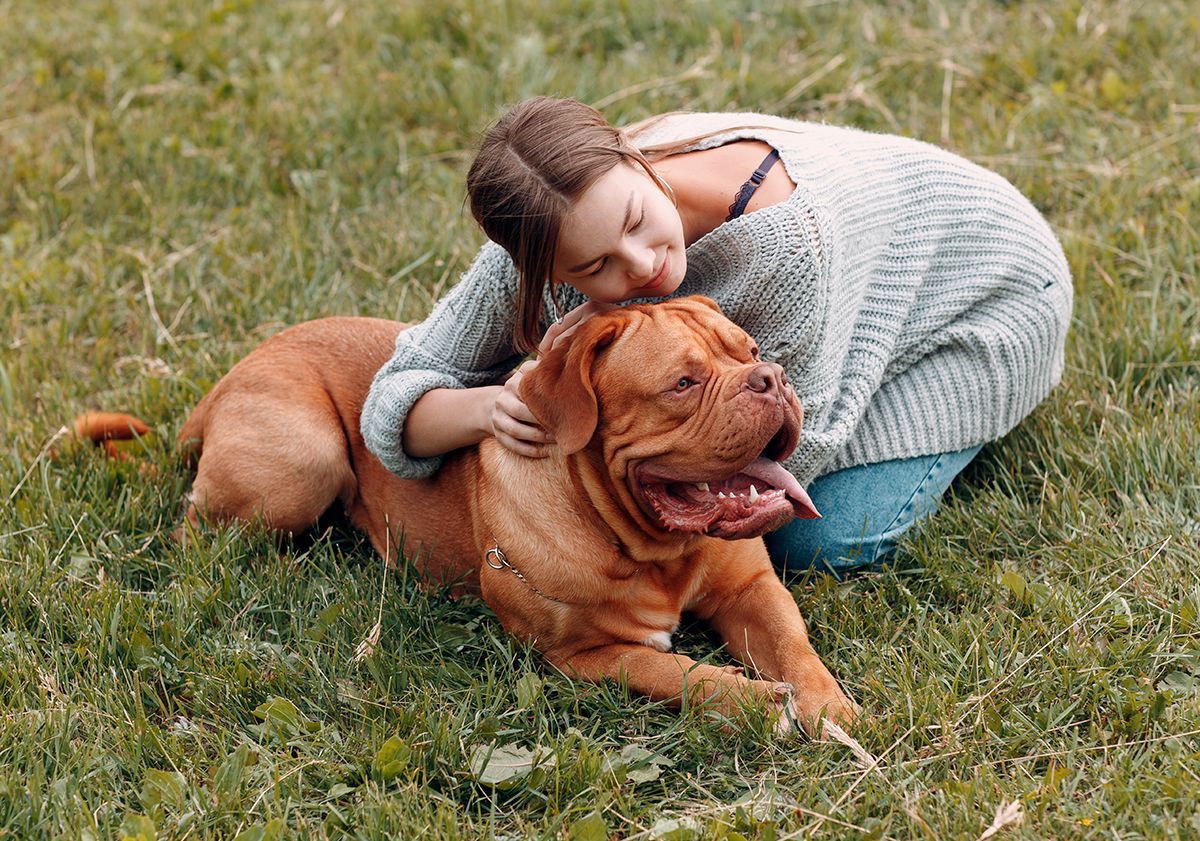 Dogue de Bordeaux avec sa maîtresse