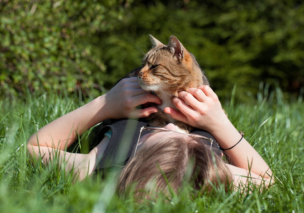 Chat sur sa maîtresse