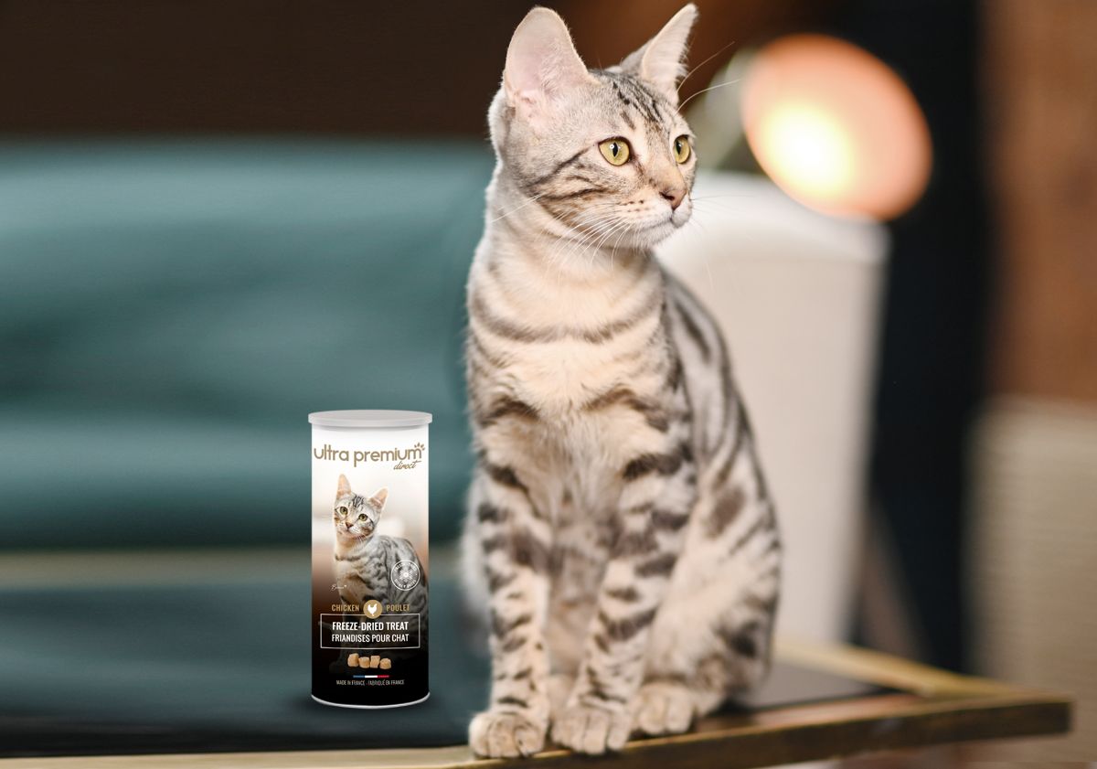 Friandises lyophilisées pour chat d'Ultra Premium Direct