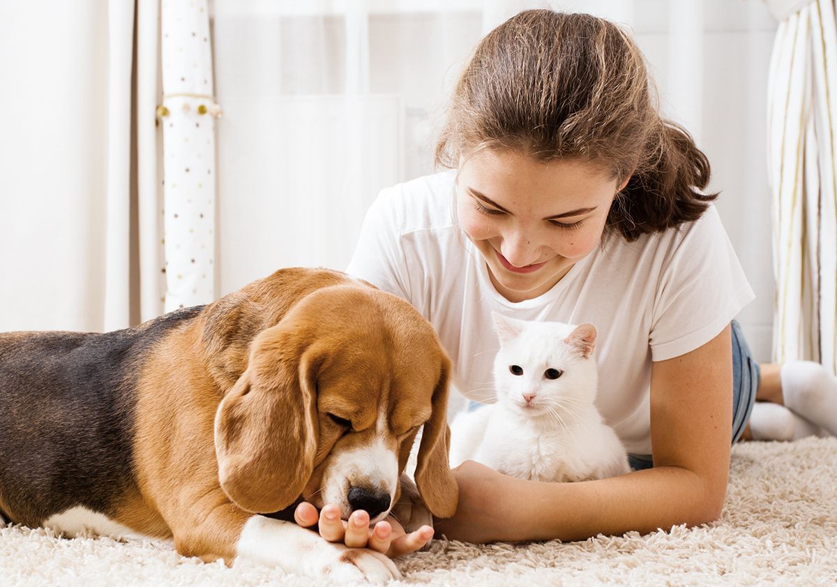 Maîtresse donnant à manger à son chien 