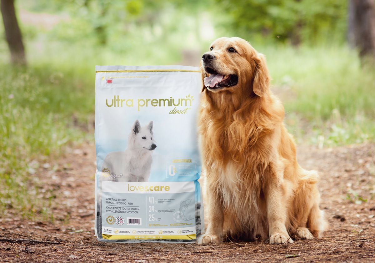 Chien à côté d'un sac de croquettes hypoallergéniques pour chien d'Ultra Premium Direct