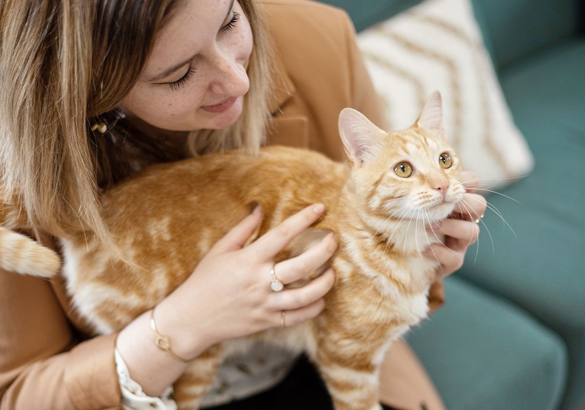 Maîtresse caressant son chat roux