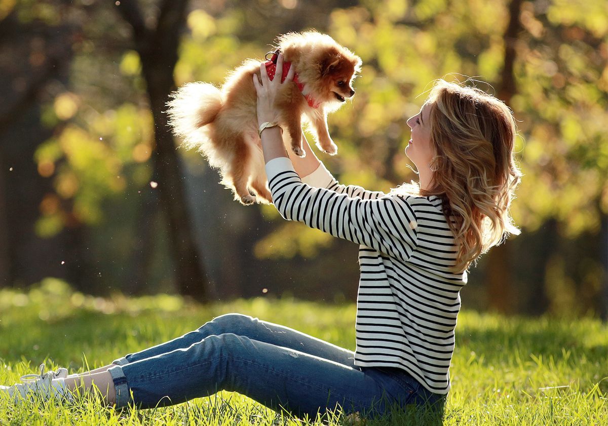 Maîtresse portant son chien en laisse dans un parc