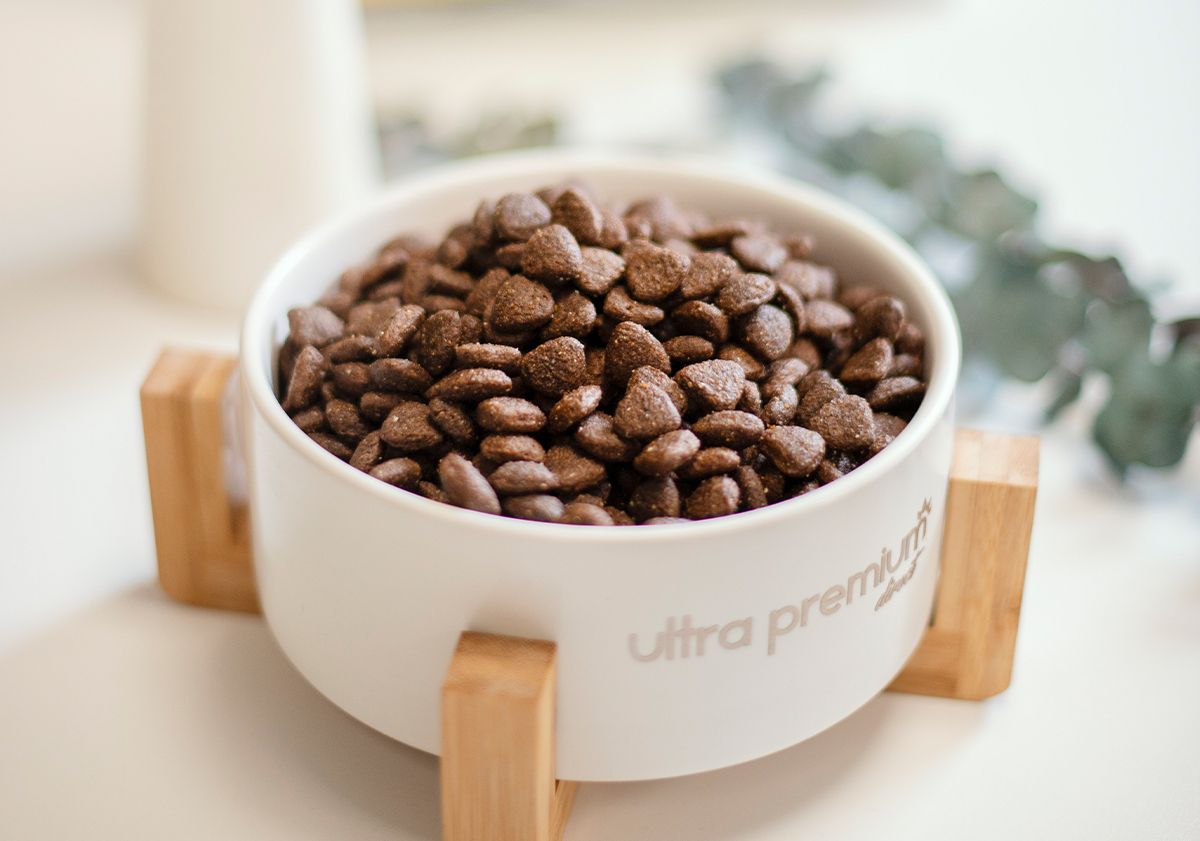Ciotola per cani Ultra Premium Direct