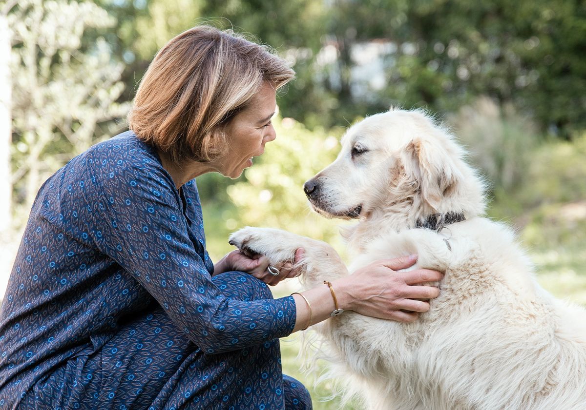 Maîtresse qui communique avec son chien