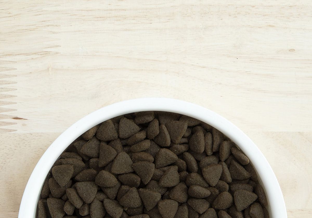 Gamelle de croquettes pour chiot