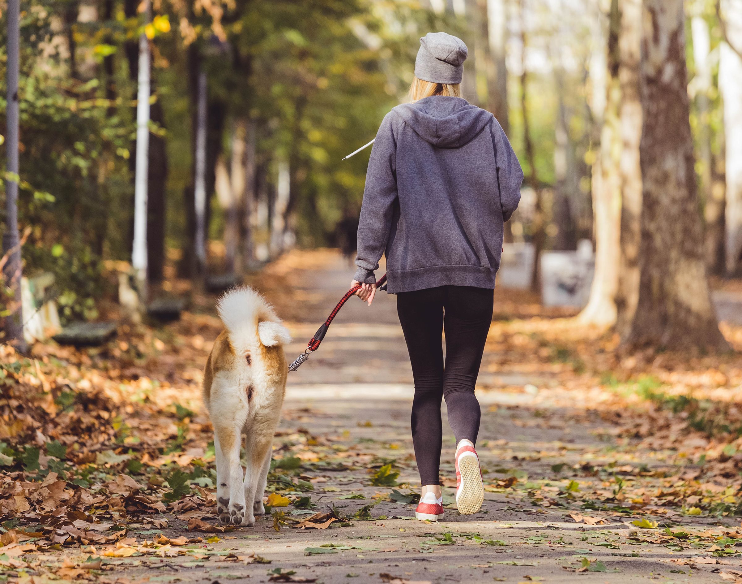 Une femme faisant un footing avec son chien en pleine nature