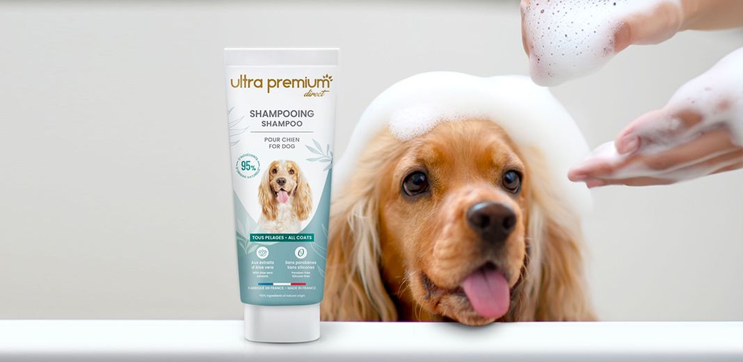 Shampooing Ultra Premium Direct