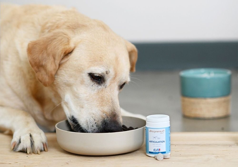 Complément Alimentaire pour Chien - Articulation - Ultra Premium