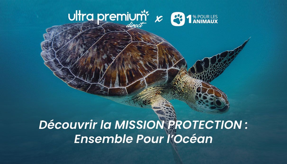 1% Pour Les Animaux