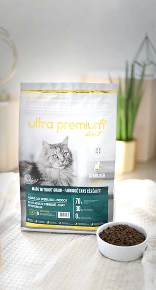 Chat poil long : les races de chats à poil long - Blog Ultra Premium Direct