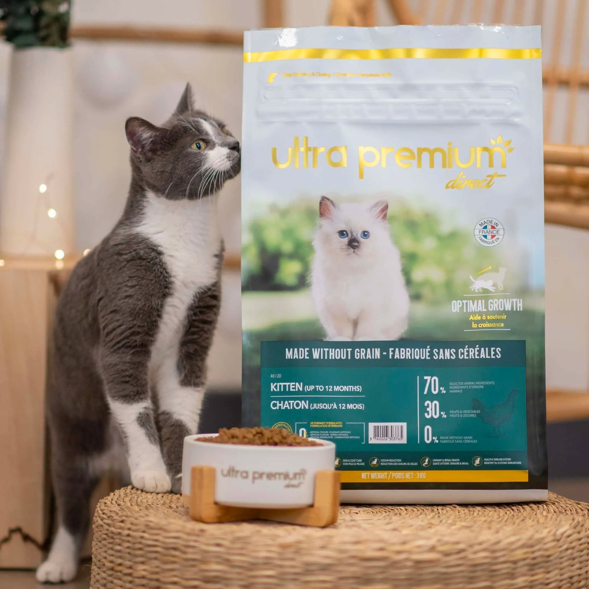 Comment acheter de la nourriture pour chat – Chatboutic