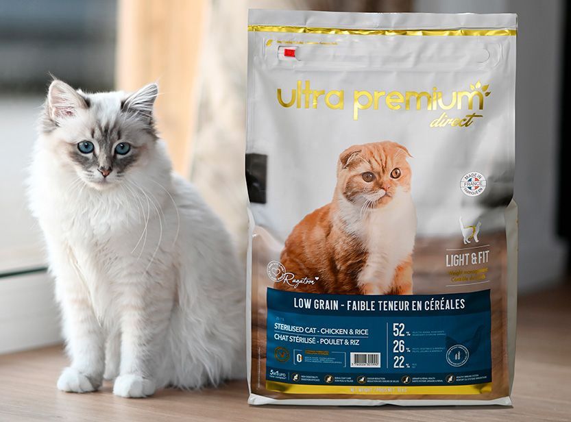 chat à côté de ses croquettes ultra premium direct