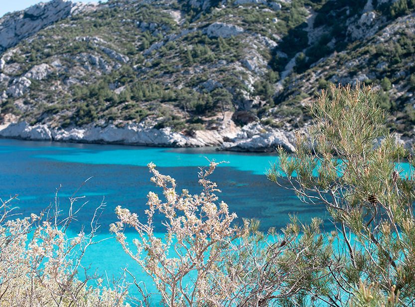 Calanques Marseille