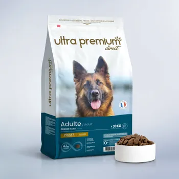Croquettes Super Premium pour Chien de Grande Taille (>30 Kg)