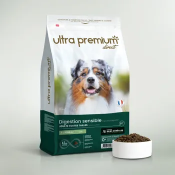 Croquettes Sans Céréales Chien Digestion Sensible Toutes Tailles