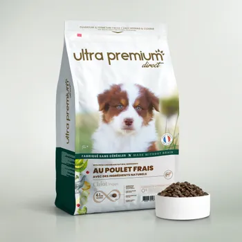 Croquettes Sans Céréales au Poulet frais pour Chiot toutes tailles