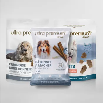 Kit plaisir pour petit et moyen chien de 2 à 25kg