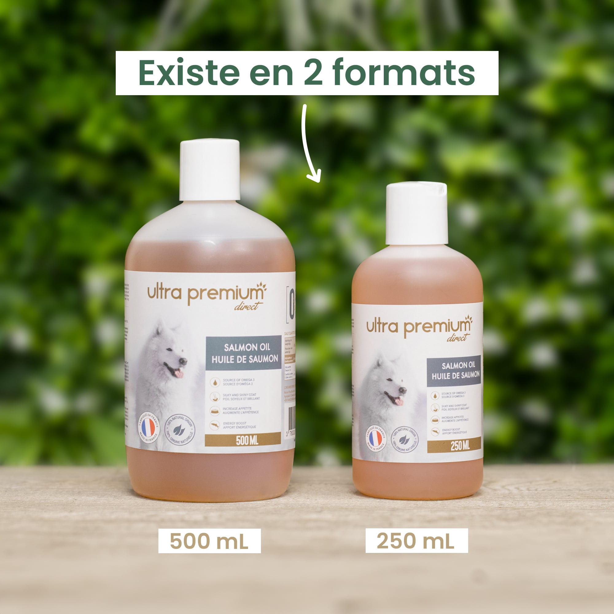 BIOFOOD CHIEN & CHAT HUILE DE SAUMON PELAGE PEAU ET ARTICULATION