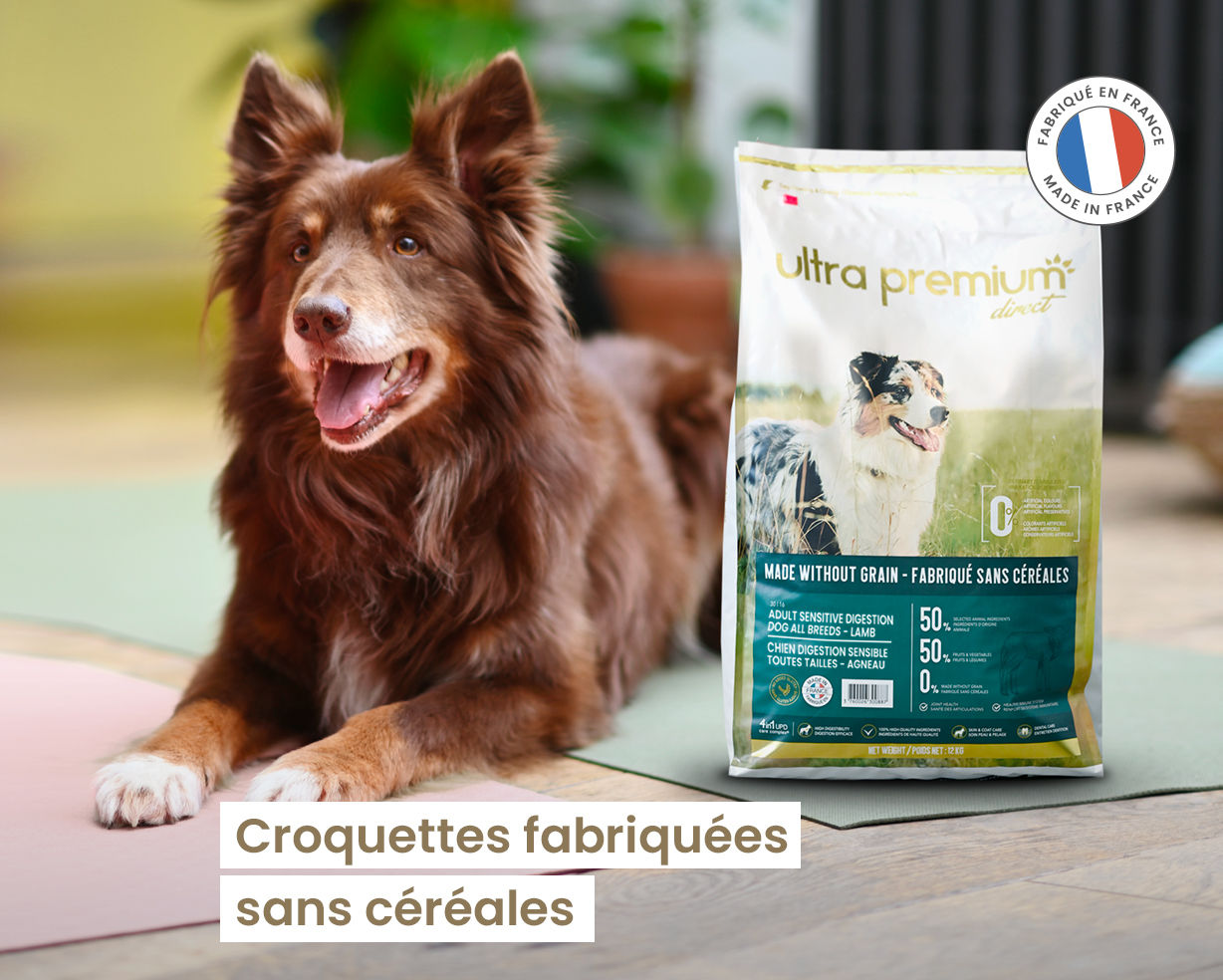 Wolfood: Alimentation premium pour Chien et Chat