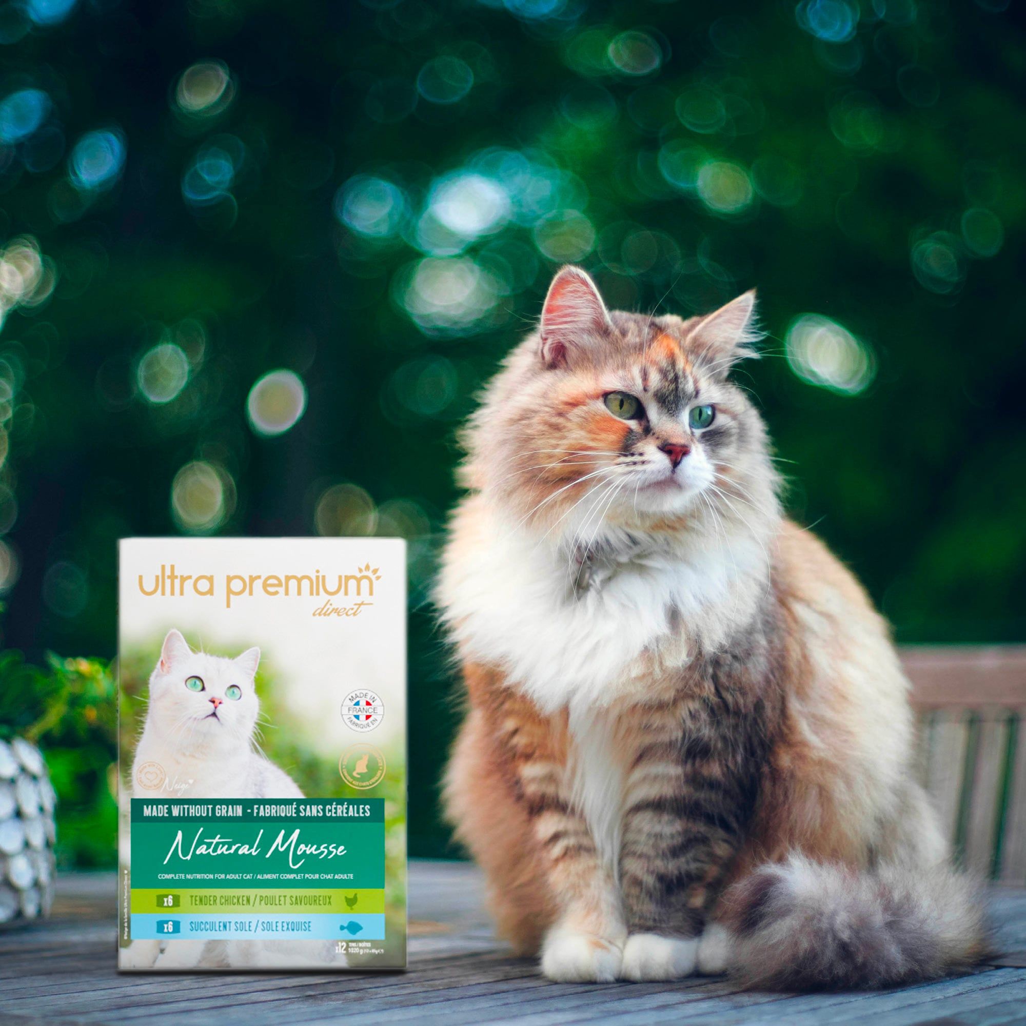 Sachets Fraicheur Chat Sans Céréales - Emincés en Gelée au Poulet - Ultra  Premium Direct