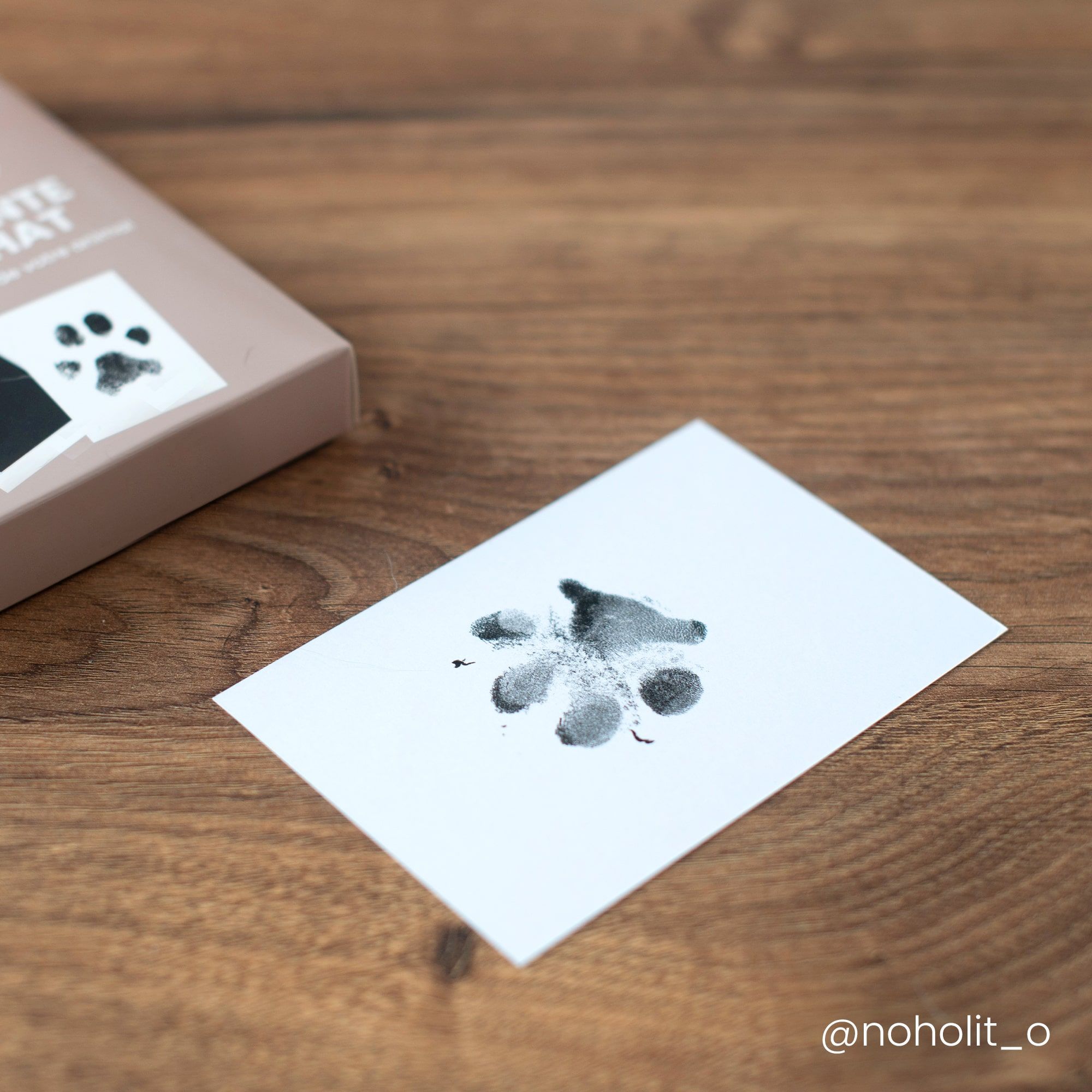 Kit d'empreinte de chat ou de chien - Cadre photo avec empreinte de chien  ou de chat, cadeau d'animal de compagnie blanc