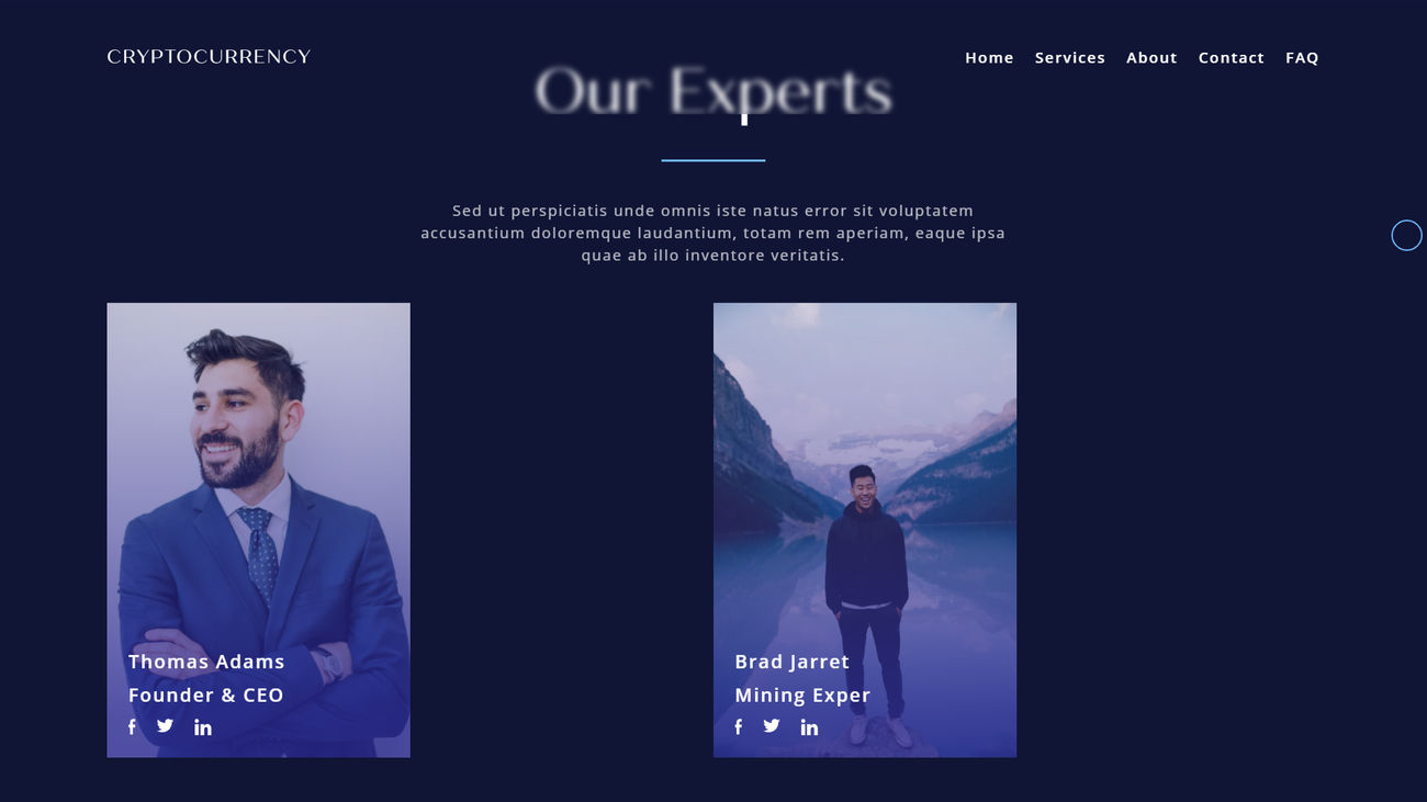 Crypto Currency Website Project