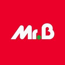 Mr.Bricolage Nancy