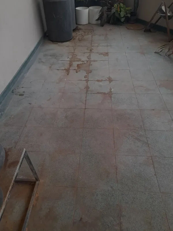 Before Restoration