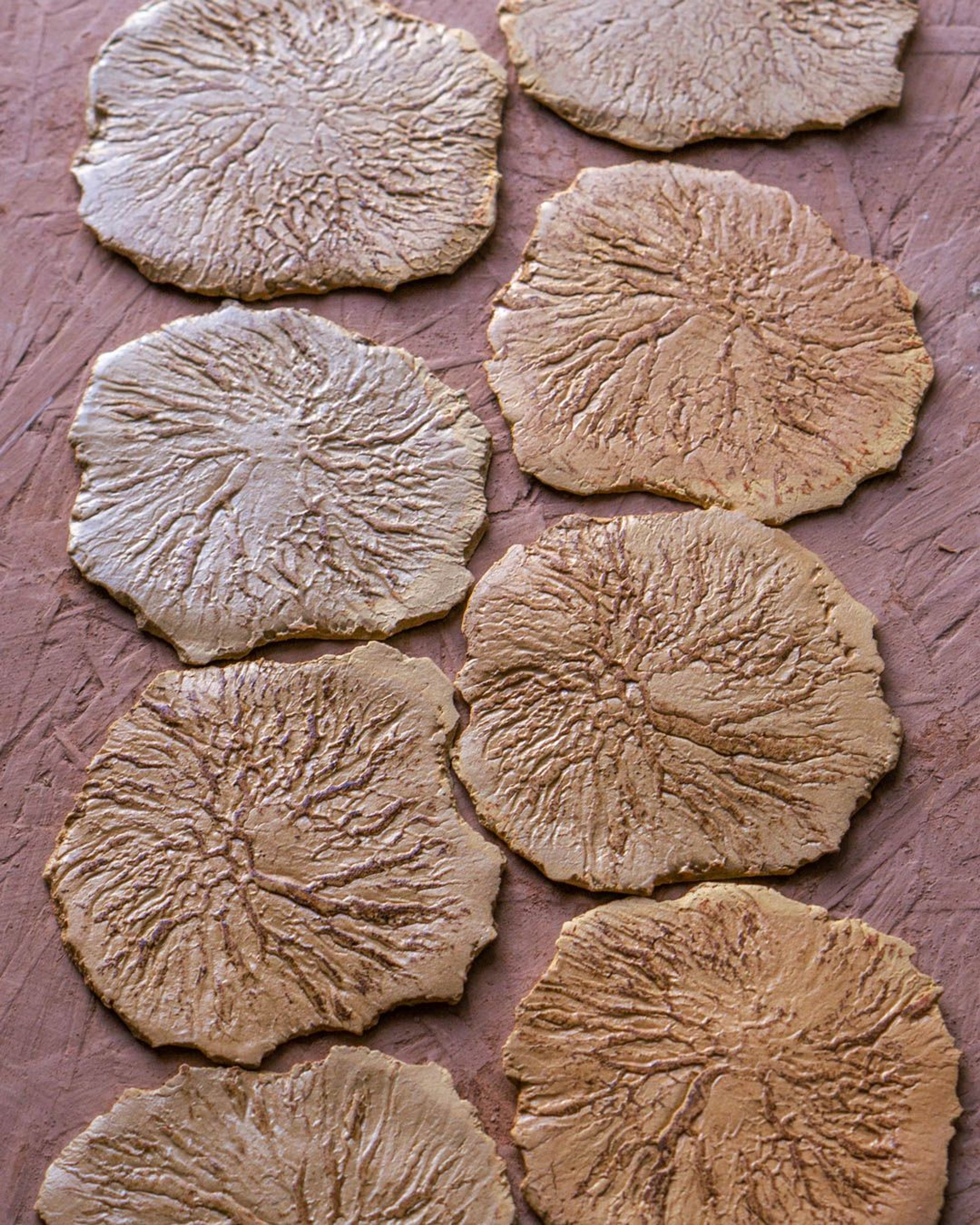 Arcilla natural Parista  — Pájaro Loco