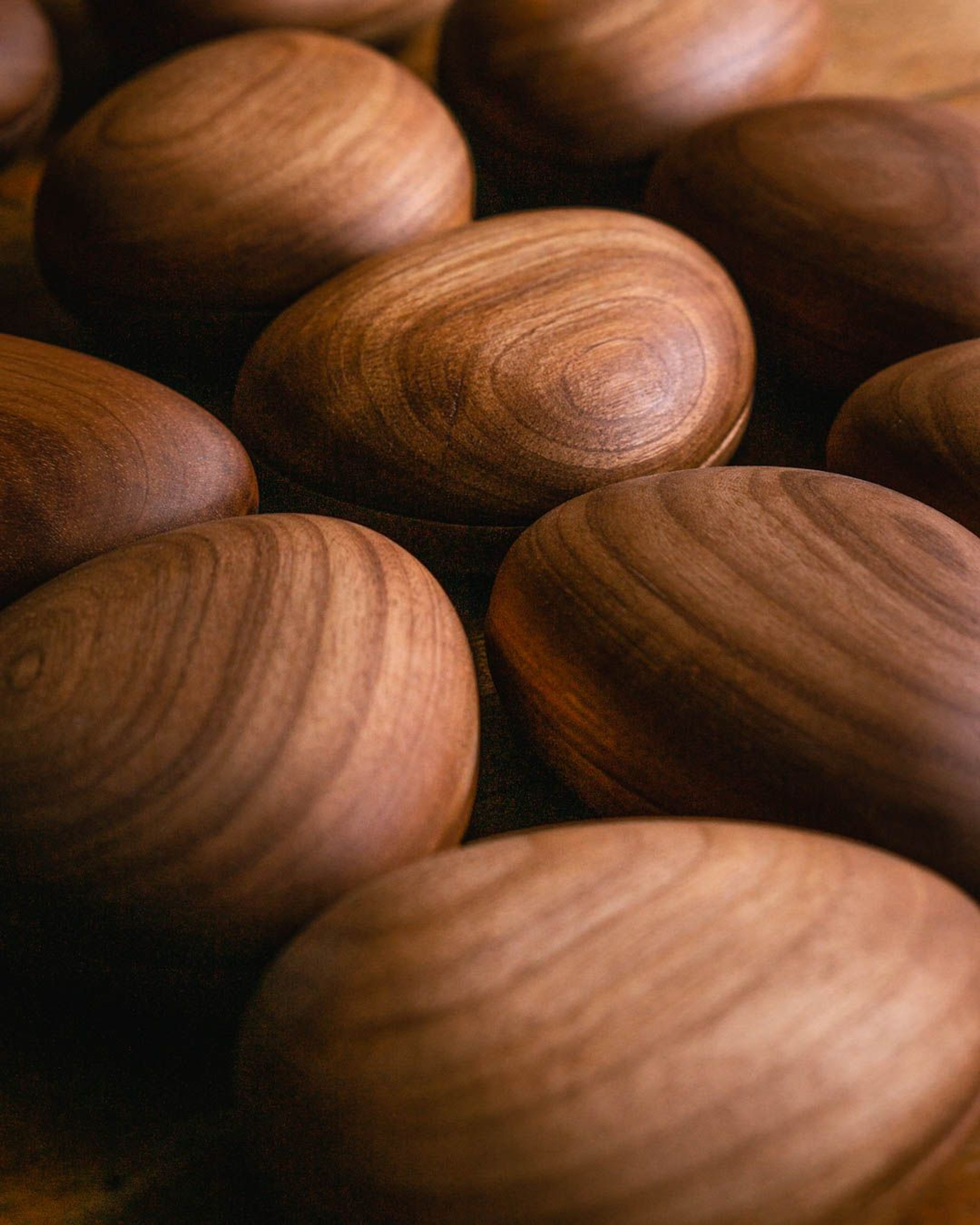 Madera 1 — Pájaro Loco