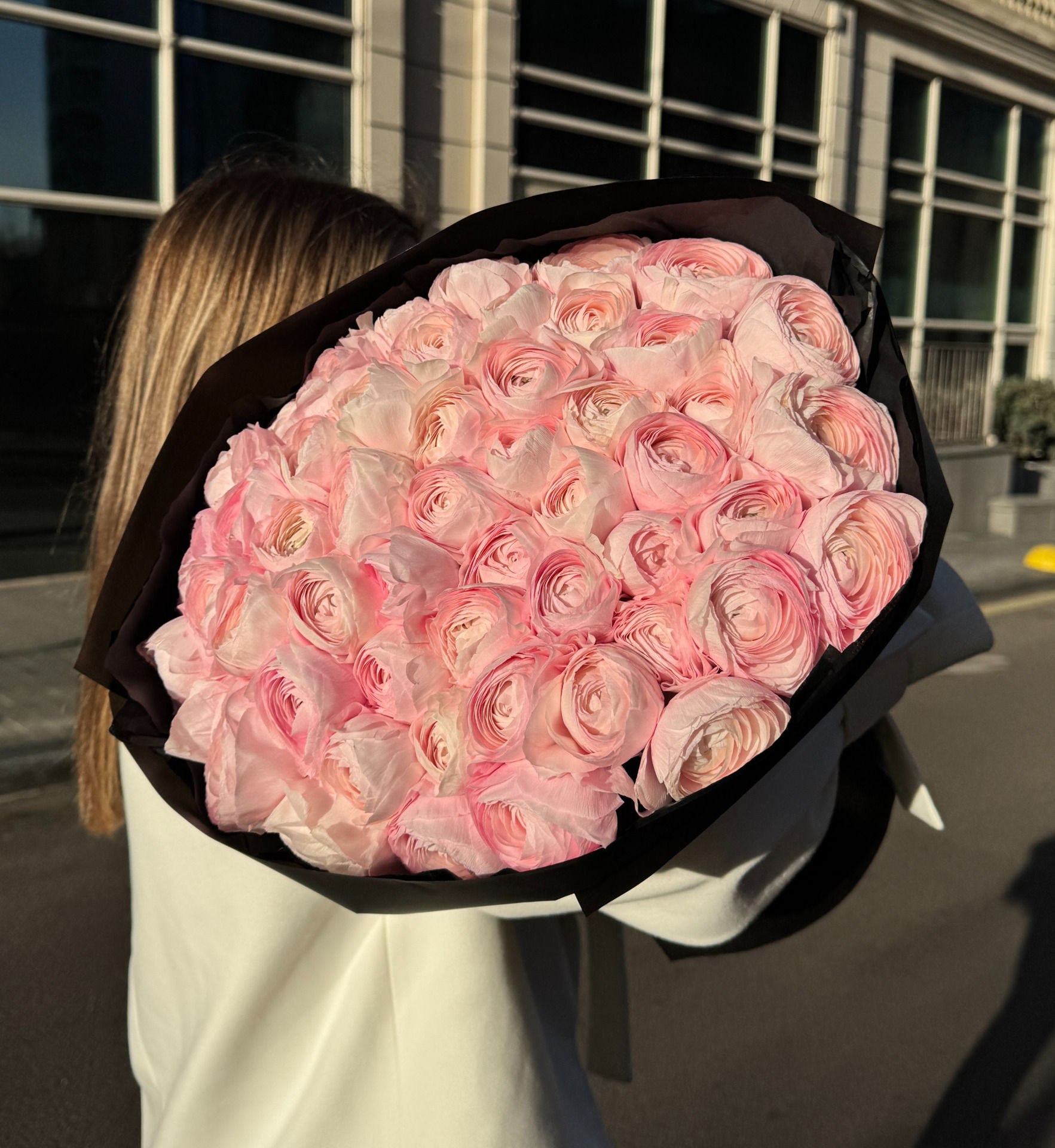 Ranunculus Lady