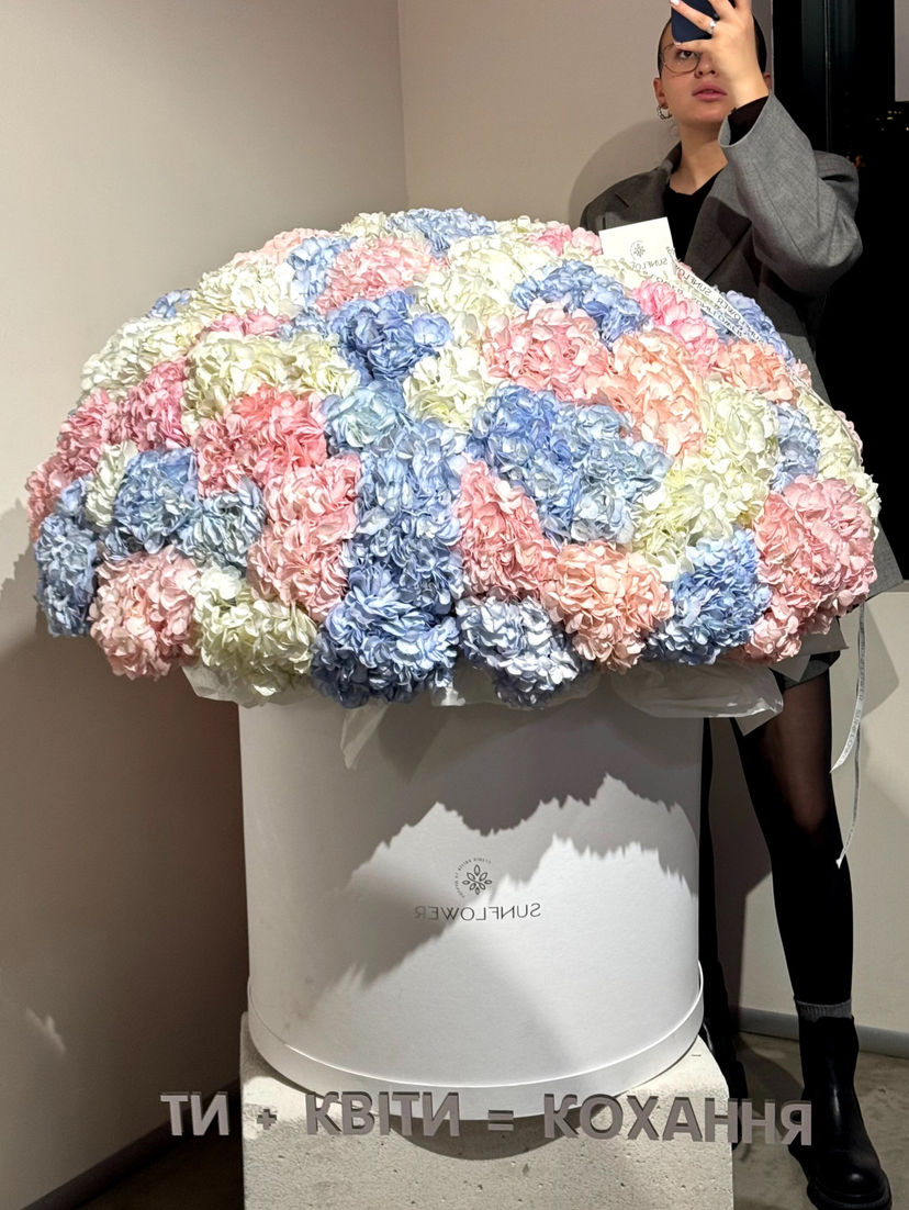 XXL Box mix Hydrangea”