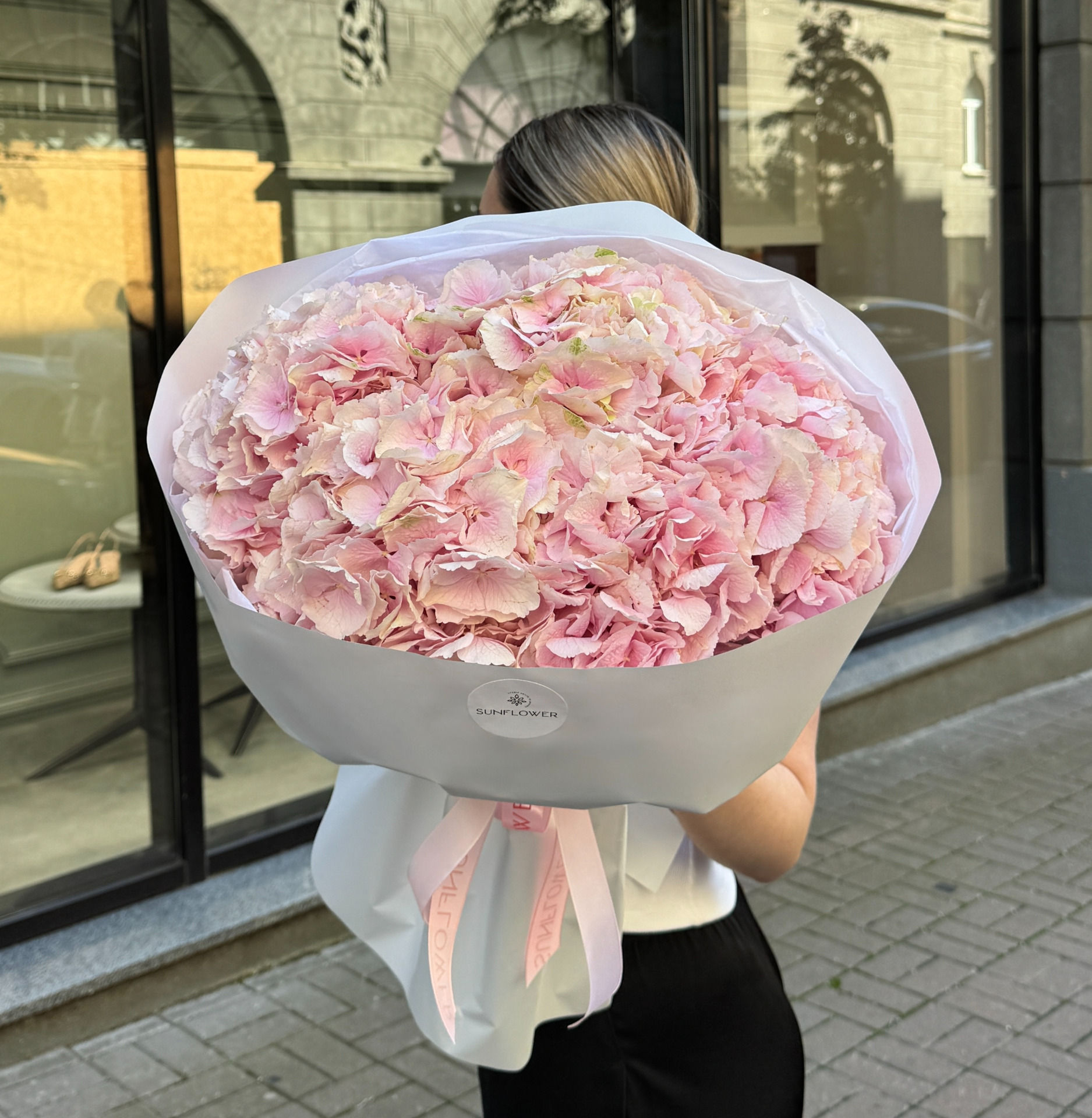 Hydrangea Holland pink