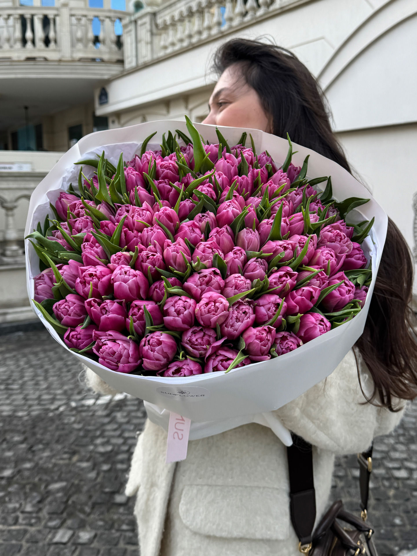 Tulip Double Princes