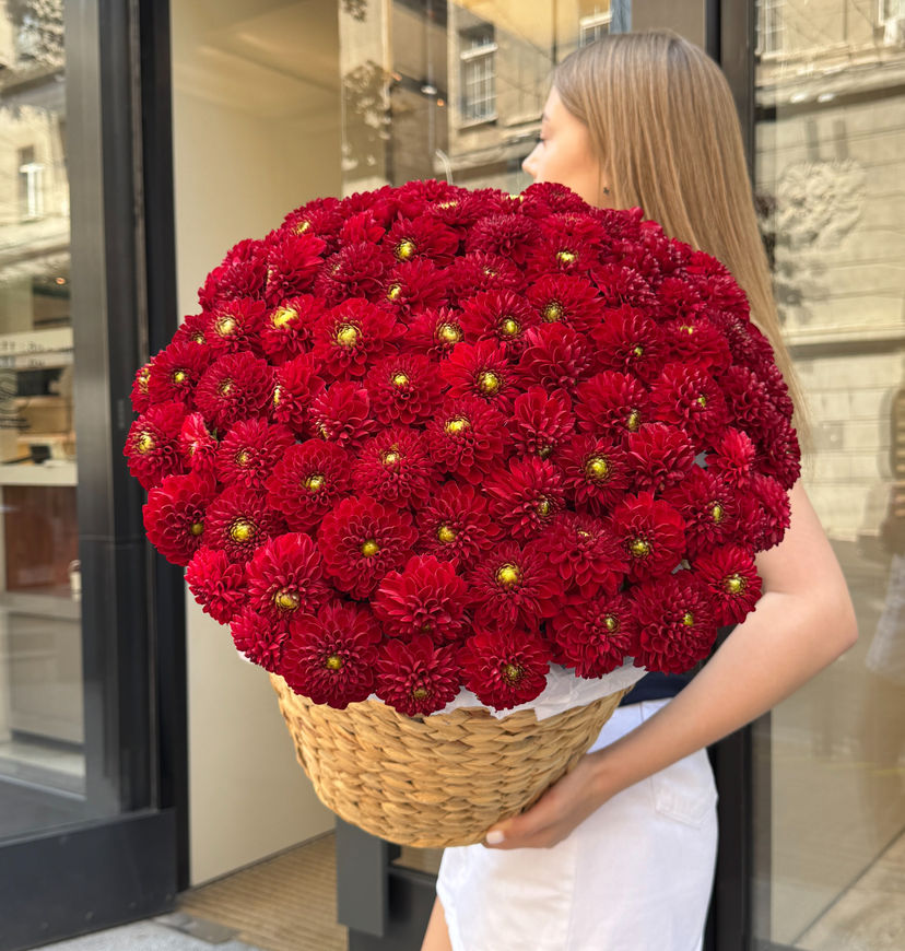 101 Viking Dahlias in a Wicker Basket